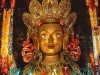 Buddha Thikse Ghompa India
